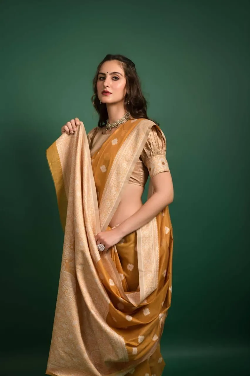 Orange Lucknowi Chikankari  Saree
