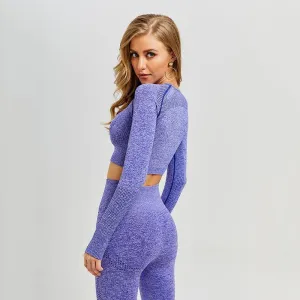 Seamless Fitness Gym and Yoga Active Wear